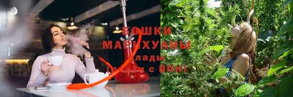 каннабис Богданович